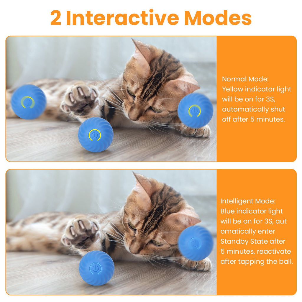 Hide-and-Seek Rolling Cat Toy