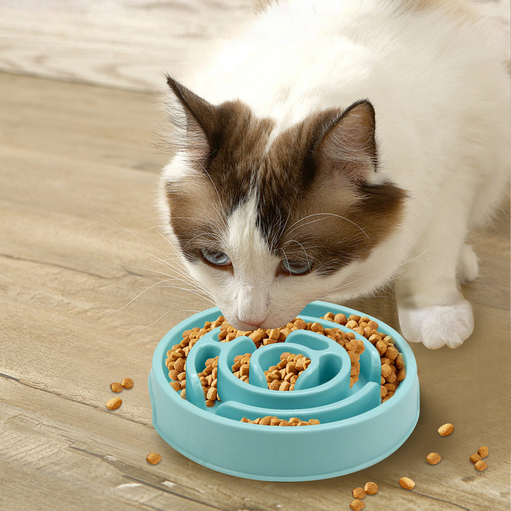 Maze Slow-Feeder Dog Bowl