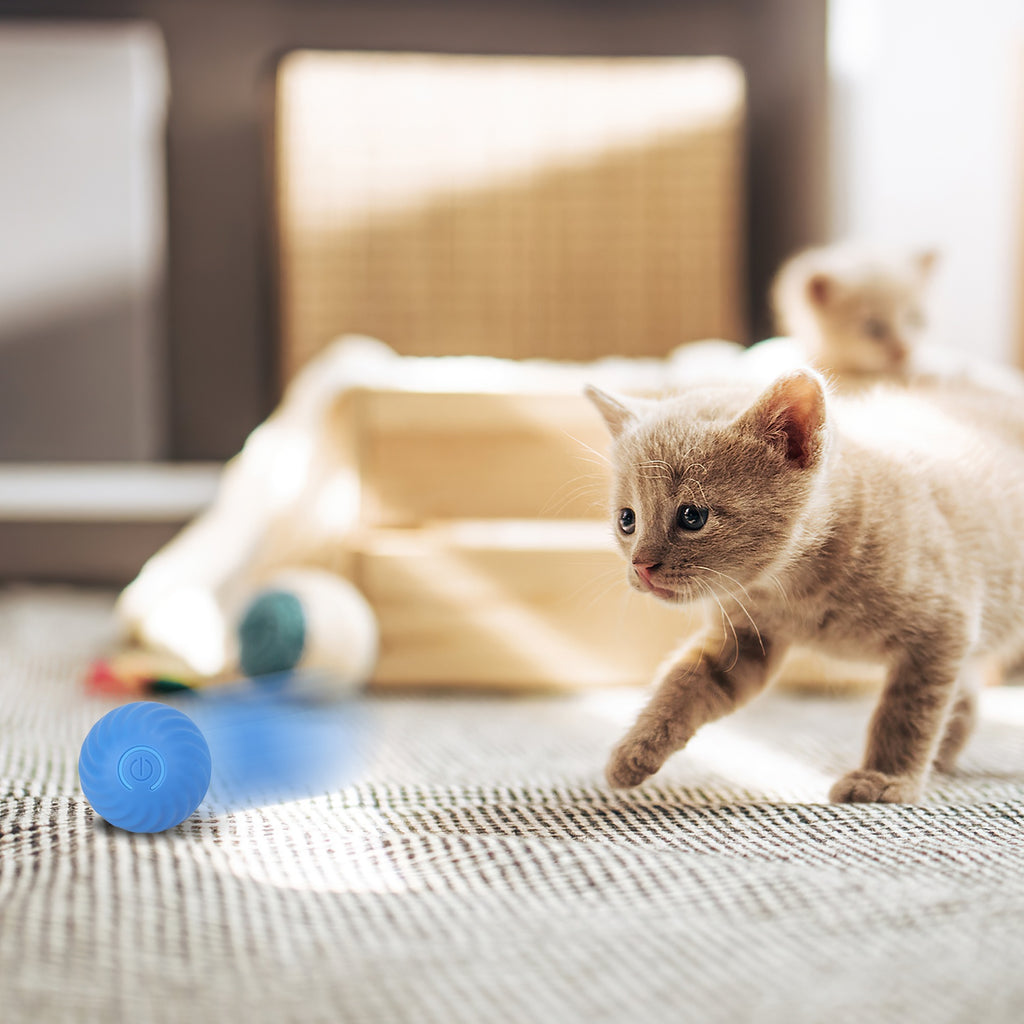 Hide-and-Seek Rolling Cat Toy