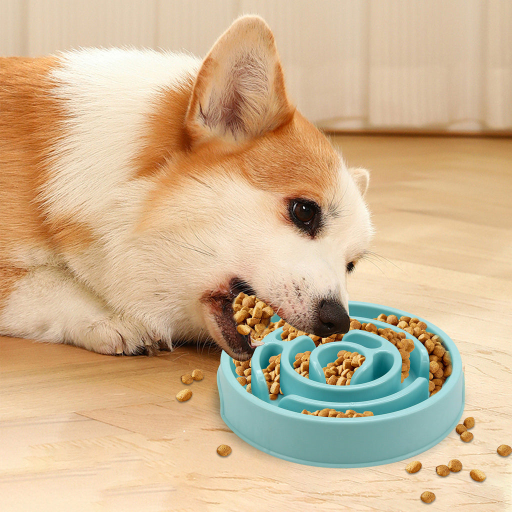 Maze Slow-Feeder Dog Bowl
