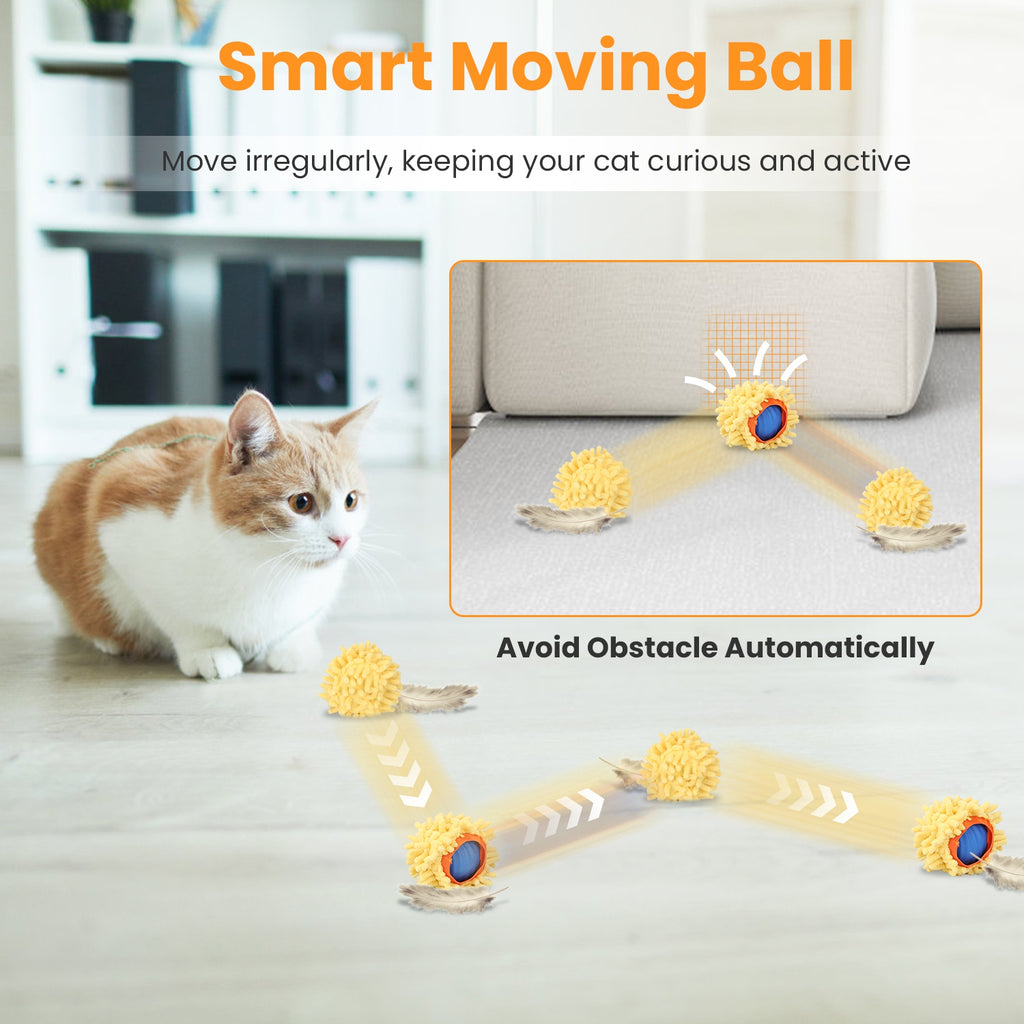 Hide-and-Seek Rolling Cat Toy