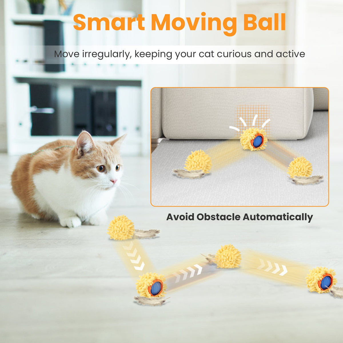 Hide-and-Seek Rolling Cat Toy