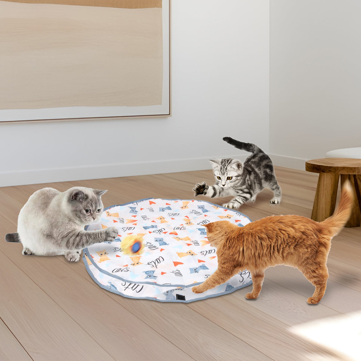 Hide-and-Seek Rolling Cat Toy