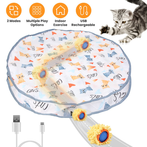 Hide-and-Seek Rolling Cat Toy